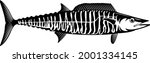 Wahoo Fish Vector Fishing Logos