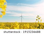 Bright yellow field of rapeseed flowers and a wind generator on a sunny day. Energy sources.