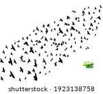 Bird Watercolor. A Flock Of...