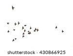A flock of flying birds. 