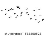 Flock Of Birds Silhouette....