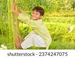 Small photo of A baby boy trying to climb on a tree. Moving towards sauces concept of climbing on tree. Learning climbing process. Pakistani kid practicing to climb on a tree. Asian kid climbing on tree.
