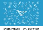 herbs and wild flowers. botany. ... | Shutterstock .eps vector #1931595905