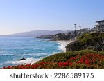 a gorgeous summer landscape at Treasure Island Beach with ocean water and waves, people relaxing in the sand, palm trees, plants and colorful flowers along the hillside with blue sky in Laguna Beach