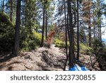 a mountain hillside filled with lush green and autumn colored trees and snow on the ground at Lake Tahoe Nevada State Park in Incline Village Nevada	