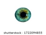Close-up of a man's eye with a beautiful green color. Isolated on a white background.