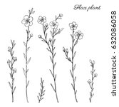 flax plant  wild field flower... | Shutterstock .eps vector #632086058