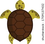 turtle top view isolated on... | Shutterstock .eps vector #1709137432