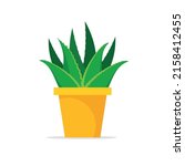 aloe vera in pot isolated on... | Shutterstock .eps vector #2158412455
