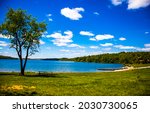 On the shore of a forest lake. Lake beach panorama. Forest lake beach view. Summer lake shore