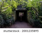 An underpass walkway through the forest under an abandoned railway line. 