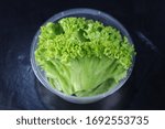 Small photo of green leafy and healthy cuss