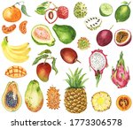 watercolor fruits clipart.... | Shutterstock . vector #1773306578
