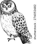 Vector Owl  2. White And Black.