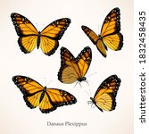 Monarch Butterfly Vector Art In ...