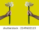 Two Hands Holds A Bouquet Of...