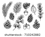 hand drawn vector illustrations ... | Shutterstock .eps vector #710242882