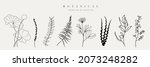 botanical arts. hand drawn... | Shutterstock .eps vector #2073248282