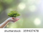 Ecological friendly and sustainable environment concept with tree planting growing on volunteer's hands