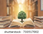 World philosophy day education concept with tree of knowledge planting on opening old big book in library with textbook, stack piles of text archive and aisle of bookshelves in school study class room