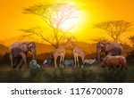 Large Group Of African Safari...