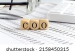 Wooden Cubes With The Word Coo  ...