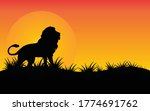 Lion Standing Against A Sunset...