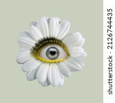 White Camomile Flower With Girl'...