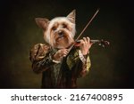 Small photo of Violinist. Model like medieval royalty person in vintage clothing headed by dog head isolated on dark vintage background. Comparison of eras, artwork, renaissance, baroque style. Contemporary collage.