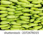 Small photo of Green marrow vegetable with isolated background, koosa vegetable on Market family of Cucumber