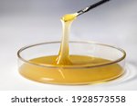 Small photo of A viscous yellow liquid such as glue or honey isolated on a white background. The liquid is in a round container, taken with a stick with a spoon and its yellow transparent color and viscosity are sho