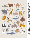 Cute Wild Animals Alphabet  ...