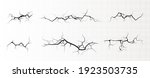 ground cracks  horizontal... | Shutterstock .eps vector #1923503735