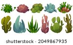 Set Of Cactus  Desert Cacti...