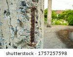 Small photo of Old cement pillar Molder, old house outside the city