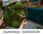Woman holding picture with tropical green moss