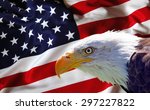 Bald Eagle And A Flag Free Stock Photo - Public Domain Pictures