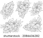 set of beautiful line art rose... | Shutterstock .eps vector #2086636282