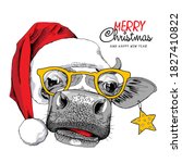 Adorable Cow In The Red Santa's ...
