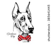 doberman portrait with a red... | Shutterstock .eps vector #385641445
