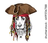 portrait of a spaniel dog in... | Shutterstock .eps vector #649556788