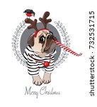 Christmas Card. Pug Dog In A...