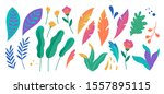 set of abstract colorful leaves.... | Shutterstock .eps vector #1557895115