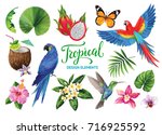 Tropical Collection For Jungle...