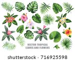 tropical collection with exotic ... | Shutterstock .eps vector #716925598