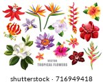 Tropical Flowers Collection....
