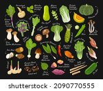set of asian exotic vegetables... | Shutterstock .eps vector #2090770555