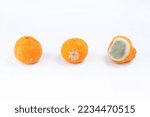 Small photo of Mandarins are covered with mold fungus. Rotting citrus fruits on a white background. Fruit spoilage process.