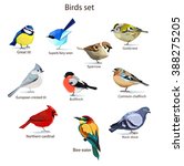 Abstract Art Bird  Logo Birds...