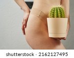 beautiful female body. a green cactus with thorns near a woman's pussy in body panties. women's health, cystitis, thrush, epilation. beauty and self care